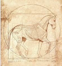 Possible Vitruvian Horse