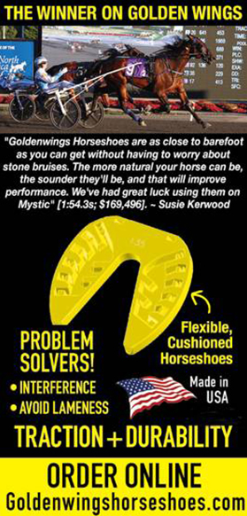 A graphic of the problem with horseshoes