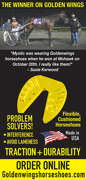 A yellow plastic horse shoe with the words " problem solvers !" written on it.