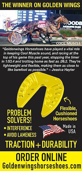 A yellow and black infographic with text about horses