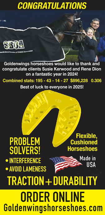 A picture of the infographic with information about golden horseshoes.